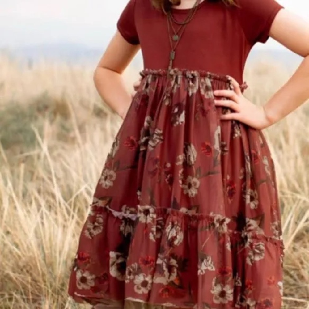 Joyfolie Mia Joy Loreli Girls Dress In Cinnamon Floral Size 6 Size NWT